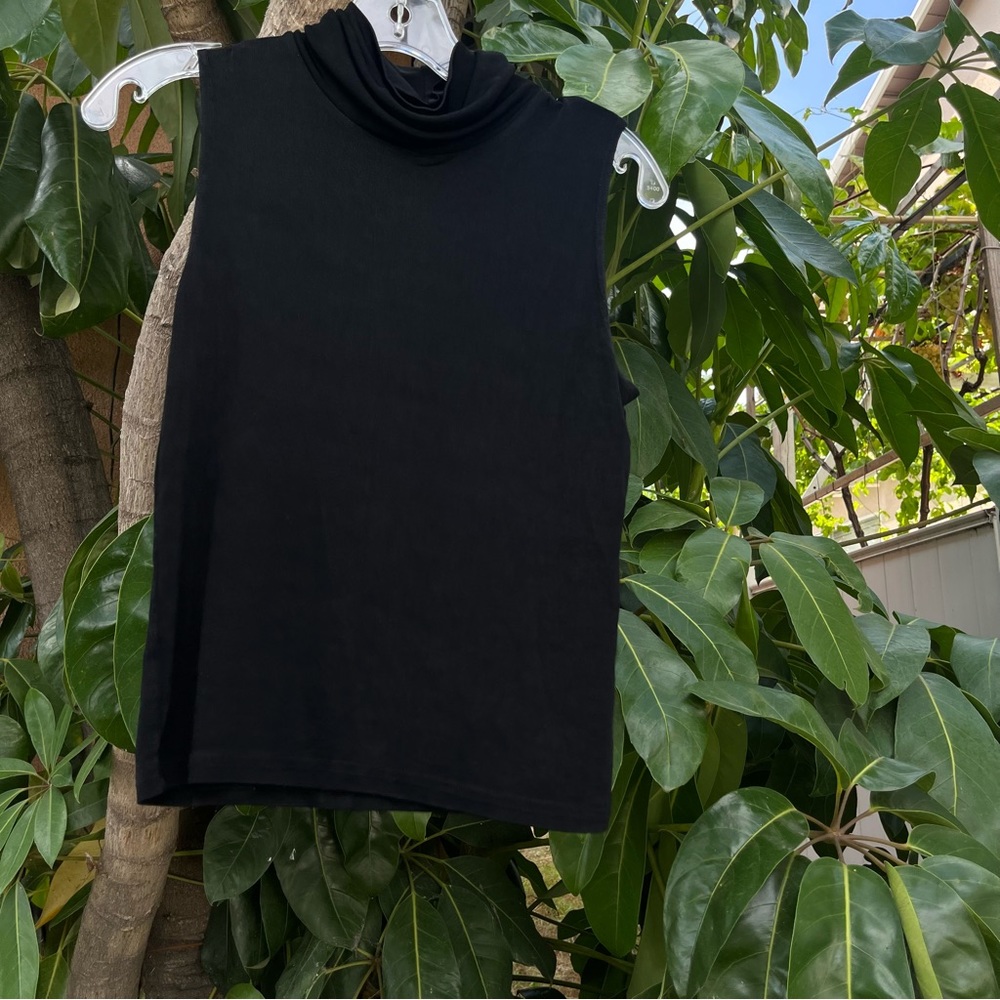 Susan Lawrence top.